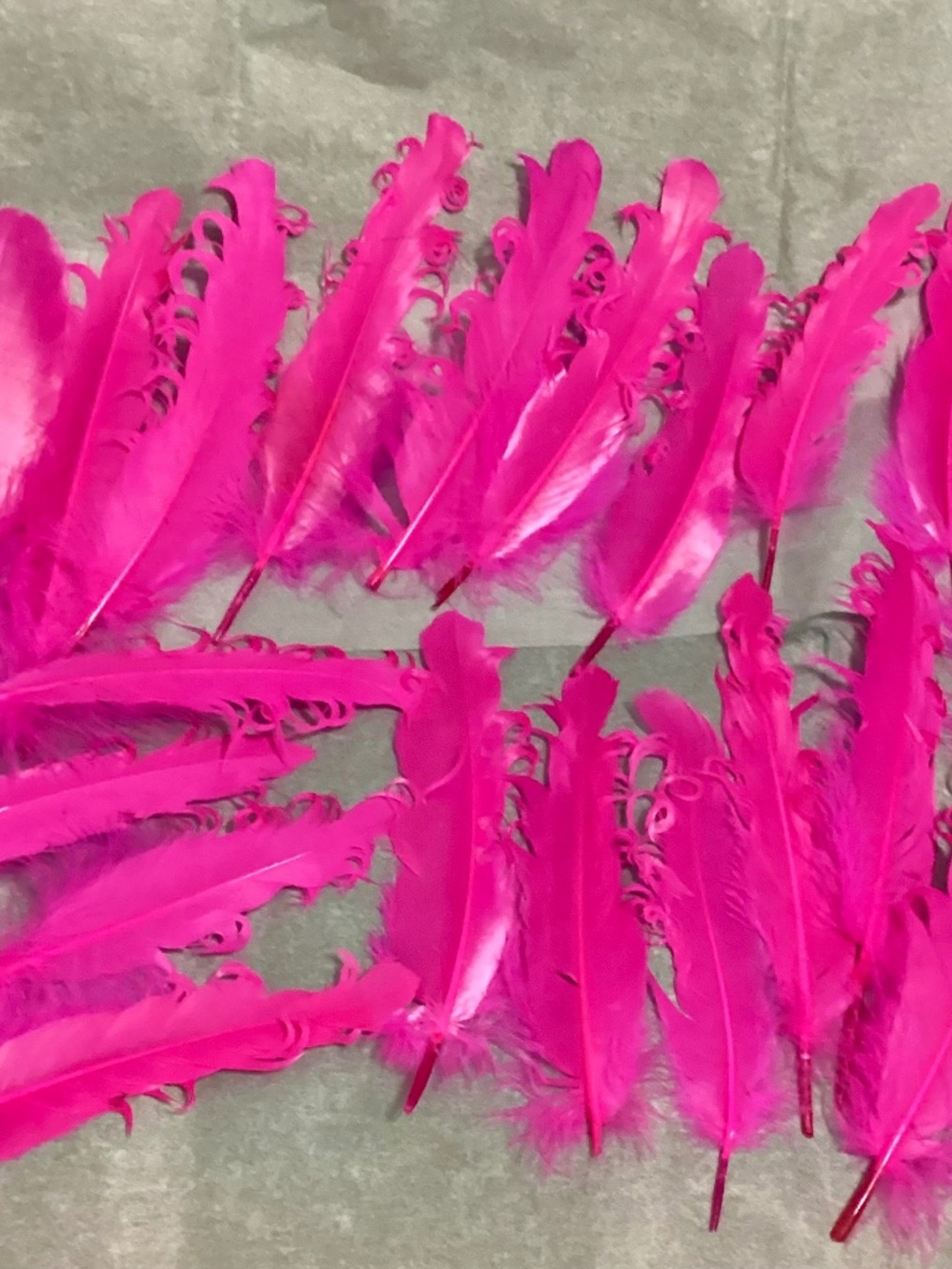 Fuscia Feathers